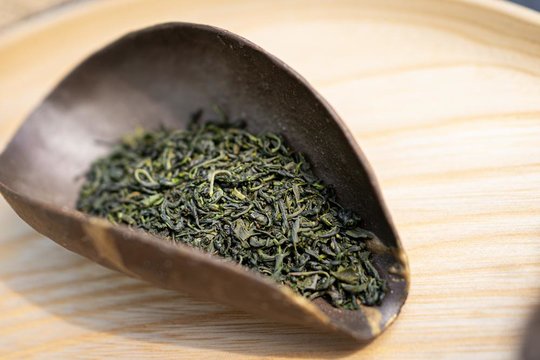 _Aoki_Green.jpg