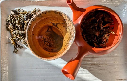 Wa Pu-erh de Kyôto.jpg