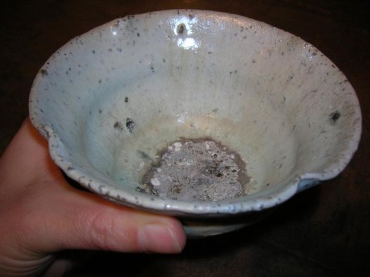 DSCN2538lr.jpg