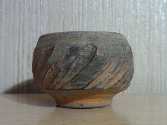 DSC01419-1.JPG