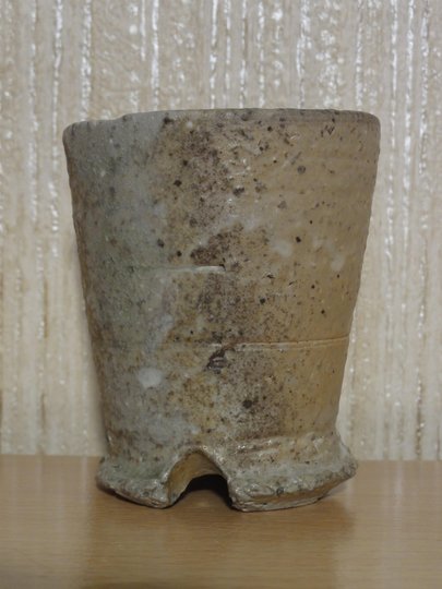 DSC01421-1.JPG
