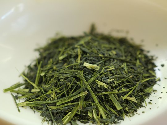 P1091157.JPG