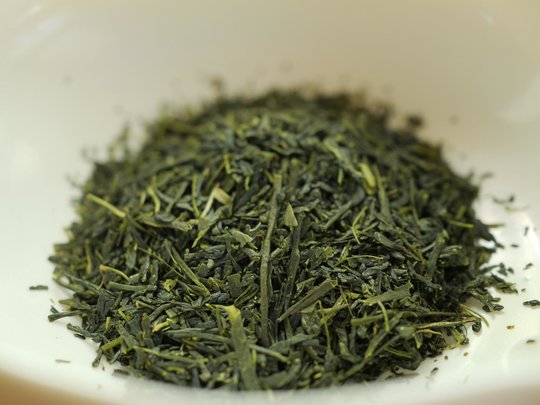 P1091160.JPG