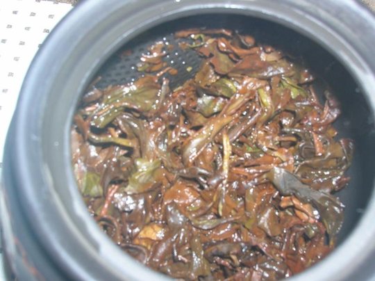 DSCN2551lr.jpg