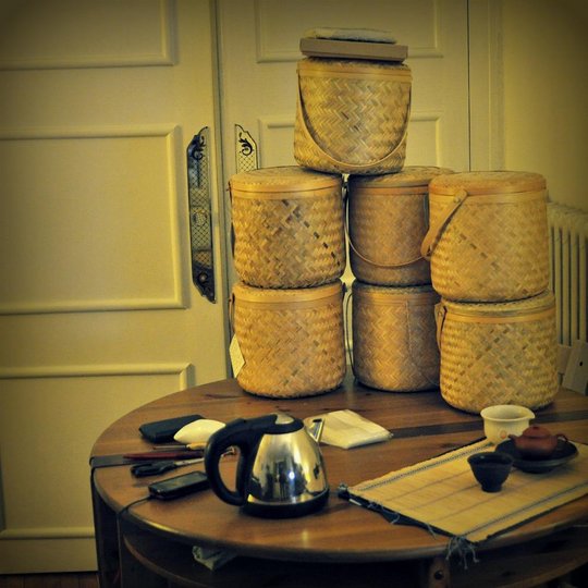 puer.jpg