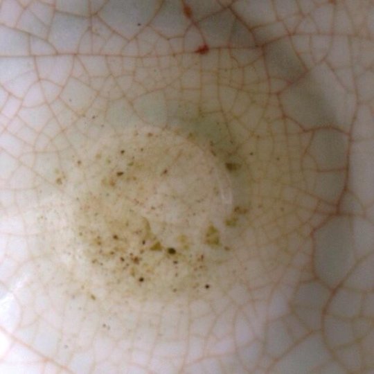 Image8.jpg