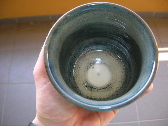 DSCN2668lr.jpg