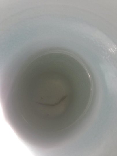 ImageUploadedByTapatalk1400223537.543780.jpg