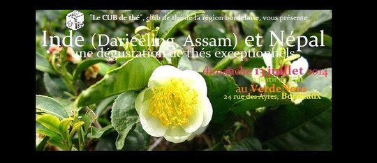 CUB2T- Inde et Népal -13 juillet _BanAccueilFB_Flower_in_a_tea_plant_at_a_Darjeeling_Tea_plantation.jpg