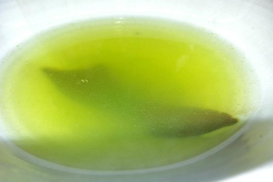 20140714172805564.jpg