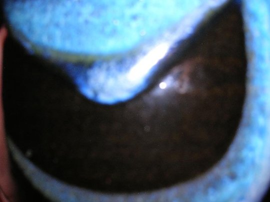 DSCN2966lr.jpg