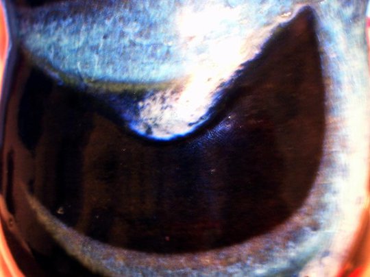 DSCN2967lr.jpg