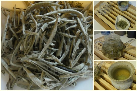 Himalayan Silver Needle.jpg