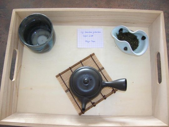 DSCN3031lr.jpg