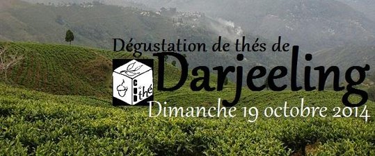 CUB2T_ dégustation Dj 19-10-2014_ plantation de thé à Darjeeling.jpg