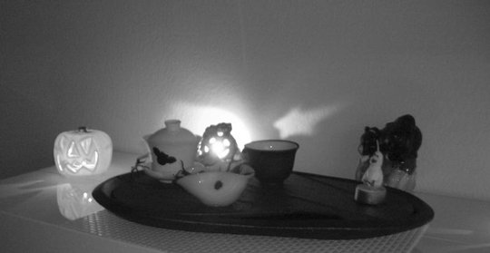 DSCN3119a.jpg