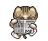 Chat lecteur journal.gif