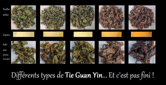 TieGuanYin-différents types_.jpg