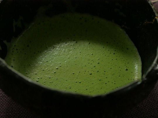 Matcha Uji-Shirakawa, cultivar Yabukita (TdJ).jpg